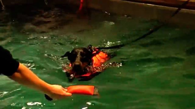 Dina 2 смотреть онлайн