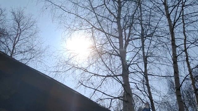 Фотосессии и Моделирование