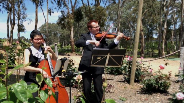 Pachelbel Canon in D смотреть онлайн