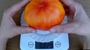 Burracker's Favorite. Томат - Бурракерские любимцы