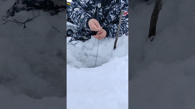 Ловим на жерлицу.Зимняя рыбалка.Кумжа.Мурманская область.14 февраля 2023. смотреть онлайн