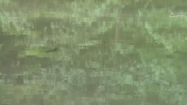Slow смотреть онлайн
