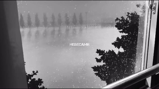 Mac Carthy - Странный (Lyric Video)