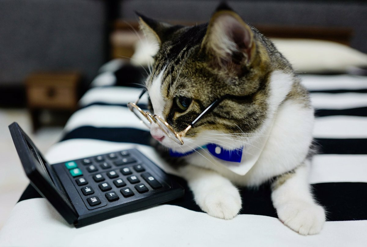 Сколько тратят на ЖКХ жители разных стран? Рейтинг из 43 стран Европы и СНГ смотреть онлайн