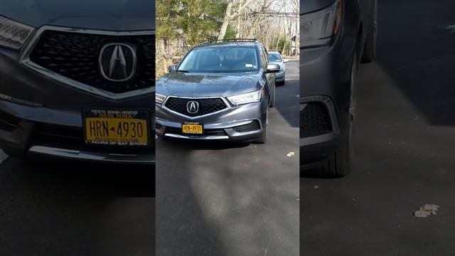 homebound#1 смотреть онлайн