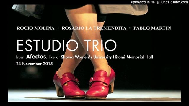 Rocio Molina - "Estudio Trio" from Afectos (Tokyo 2015) смотреть онлайн