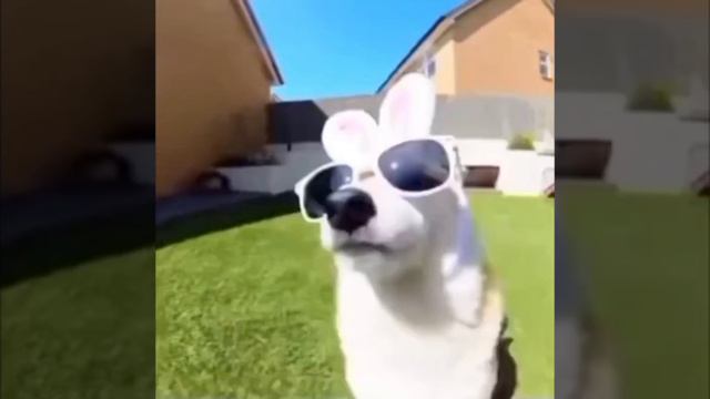 хпхпхпхпхпхпх смотреть онлайн
