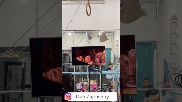 #shorts Смешные животные. Шимпанзе Боня смотрит YouTube смотреть онлайн