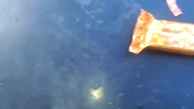 сырок коровка из кореновки ванильный глазированный в шоколаде 50гр за 40,5р  спб 09.2020г критика