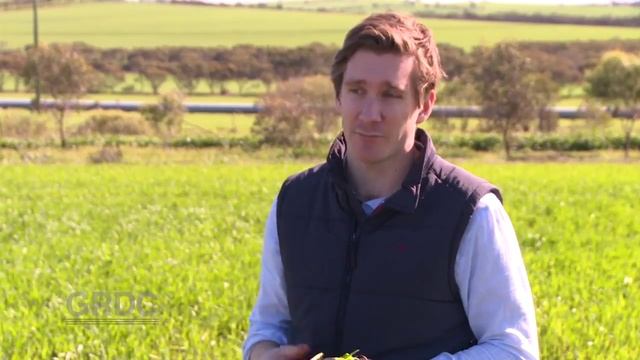 GCTV14: Nitrogen Deficiency смотреть онлайн