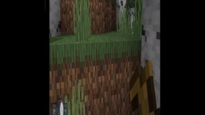 играю в Локи крафт-3.