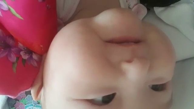 Белка Стрелка смотреть онлайн