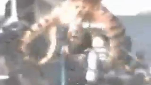 Final Fantasy XI Online ffxivoa смотреть онлайн