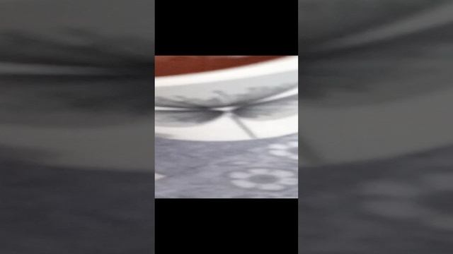 VID_20230315_144340.mp4