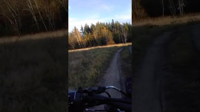 Racer forester смотреть онлайн