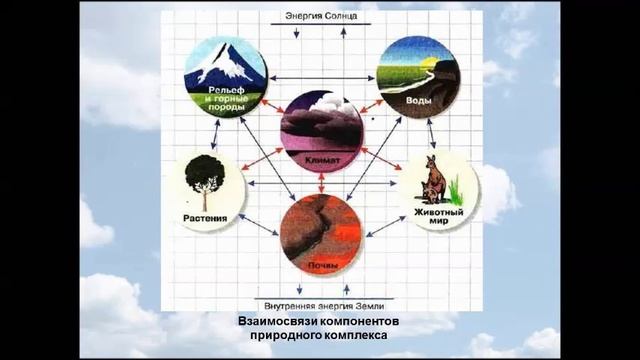 Природные комплексы суши и океана. География 7 класс смотреть онлайн