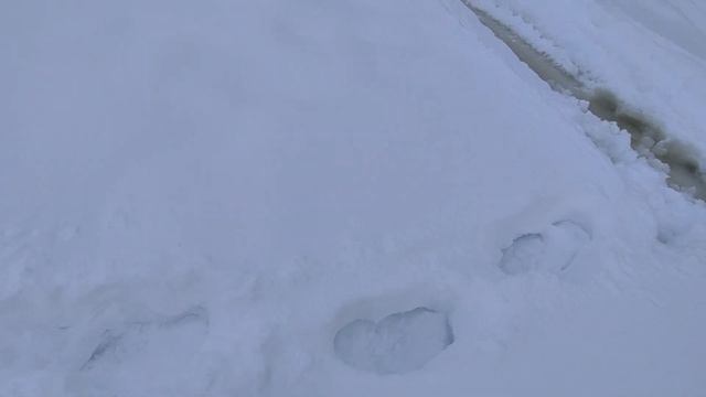 Рыбалка на Окуня в глухозимье .Снегоход сломался.На реке много наледи.Irbis Dingo T-150. смотреть онлайн