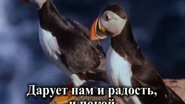 Мы Семья + смотреть онлайн