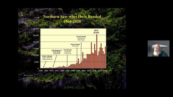 Project Owlnet at Petit Manan Point