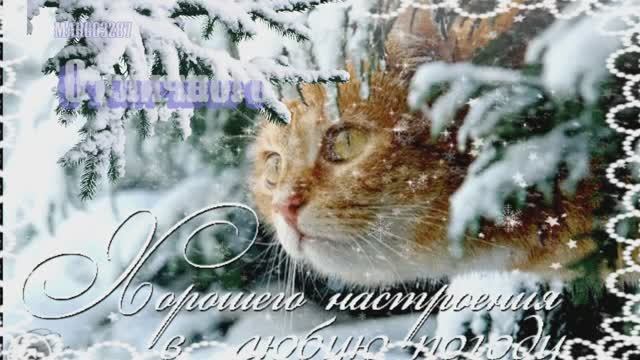 Доброго Зимнего Денёчка! смотреть онлайн