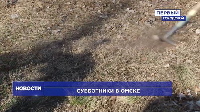 СУББОТНИКИ В ОМСКЕ смотреть онлайн