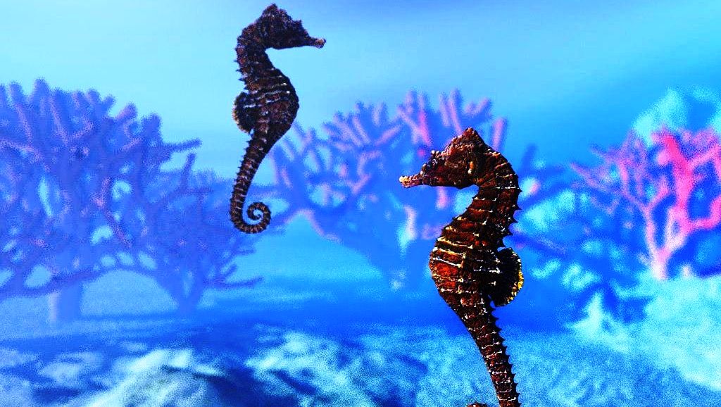 На этих кониках не покатаешься. смотреть онлайн