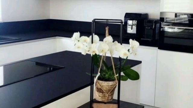 Модель Итальянской кухни! смотреть онлайн