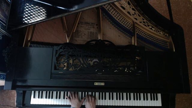 #225 of 10.000 Blüthner Grand Piano Pieces смотреть онлайн