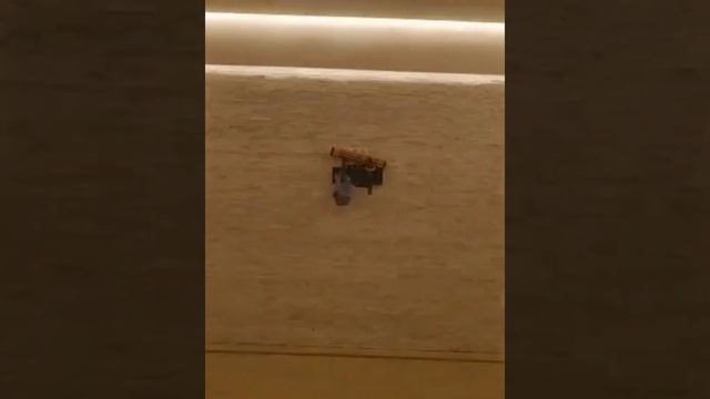 Шлифовка и полировка мрамор 89258600442 смотреть онлайн