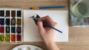 Как нарисовать сороку карандашом и акварелью начинающим | Рисунок для детей