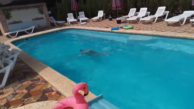 Черное море. Отель Фаворит. Шепси. Прыжок в воду))) #Шепси смотреть онлайн