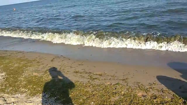 Ловля криветок. смотреть онлайн