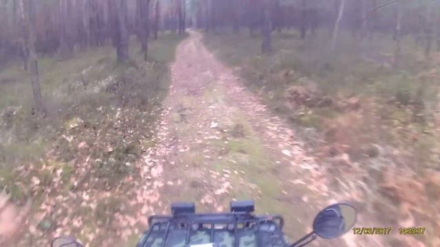 Niedzielny wypadzik i duża woda смотреть онлайн