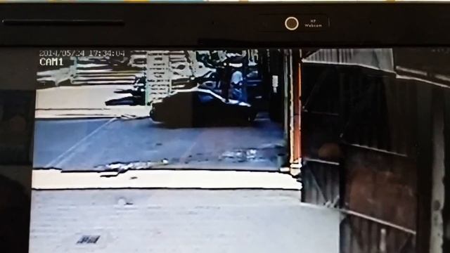 Крыса смотреть онлайн