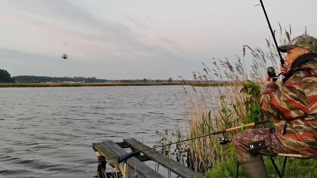 Флэт в деле, Рыбалка в Барановичах, трофейный карась... Караси лапти.... смотреть онлайн