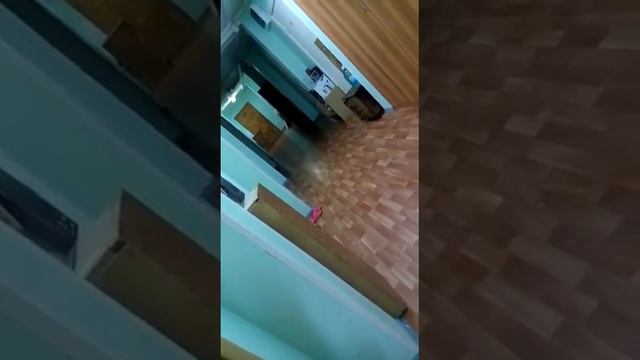 Вы че там срете? (Ненцы) смотреть онлайн