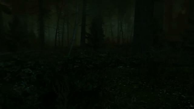 The Cursed Forest v1.3 #1 [Очередное зло притаилось в лесу!] смотреть онлайн