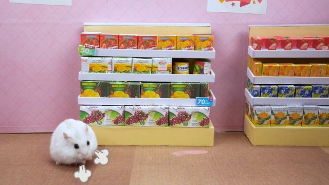 Good Friend Hamster Helps Baby Boss Build House | Cartoon by Hamster Toons смотреть онлайн