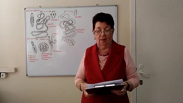 Паразитоз. Лекция Михайловой Р. И.