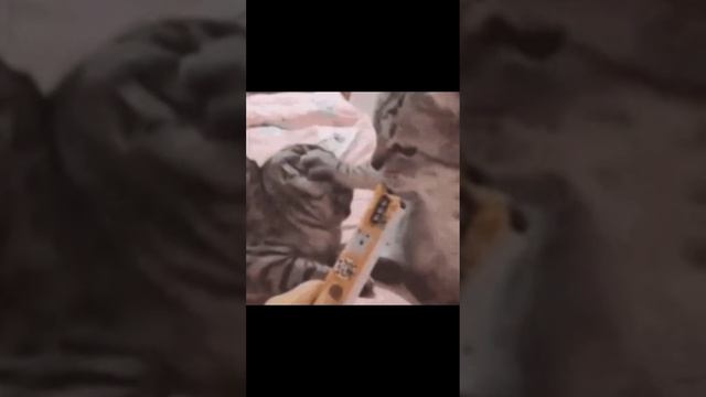 не судите строгая не умею делать монтажик смотреть онлайн