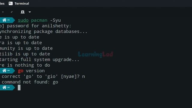 How to Install Go Language golang in Manjaro Linux смотреть онлайн