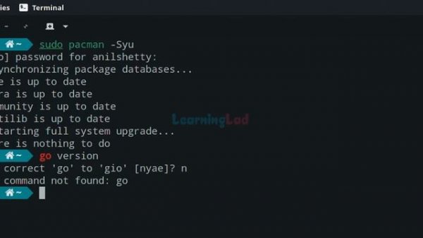 How to Install Go Language golang in Manjaro Linux