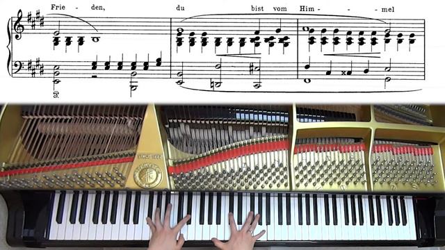 Schumann Widmung | transcribed by Liszt | dedication | with sheet music | Piano Version | смотреть онлайн