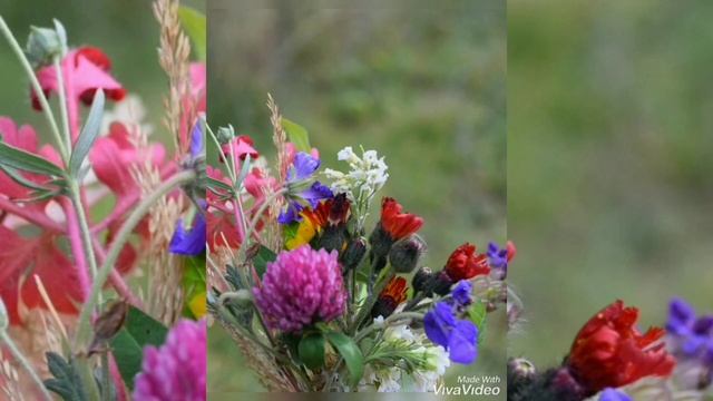 Природа Казахстана смотреть онлайн