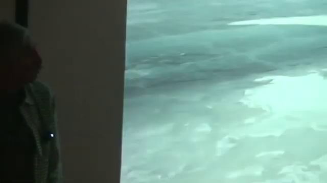 Of Sturgeon, Crocodiles & Ice, Part 1 смотреть онлайн