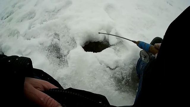 ДИКИЙ КЛЕВ СИГА НА БЕЛОММОРЕ!!! смотреть онлайн