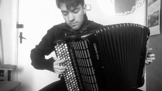 The Cranberries - Zombie (Cover on Bayan) смотреть онлайн