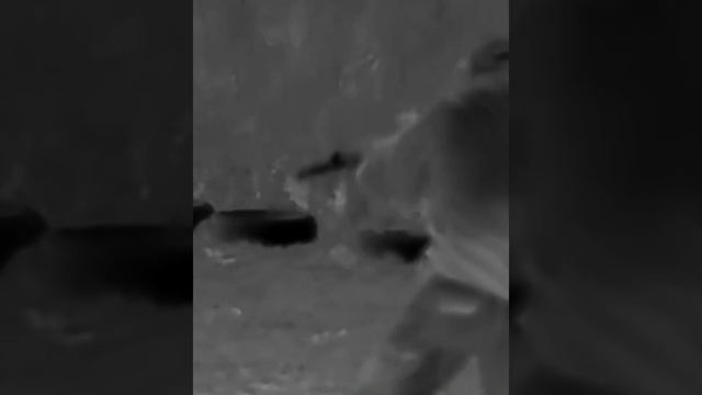 Занятия по огневой подготовке в Академии Боевых Искусств, г. Калининград смотреть онлайн