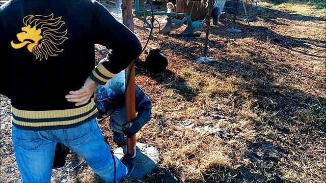 INVERTOR SUDURĂ AGROPRO 220 THUNDER! VIDEO DIN 2019. смотреть онлайн