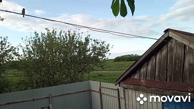 Запеканка из макарон//Покупки// смотреть онлайн